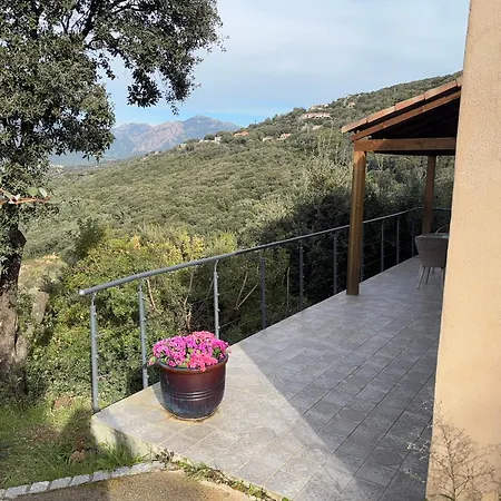 Casa Lisandru- Mini-villa Proche Des Plages Holiday home Viggianello